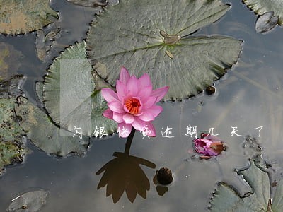 闪银快贷逾期几天了 闪银快贷逾期几天了