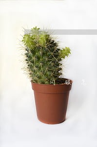 闪银怎么查逾期 闪银怎么查逾期