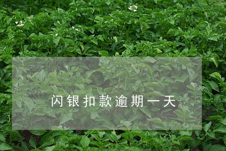闪银扣款逾期一天