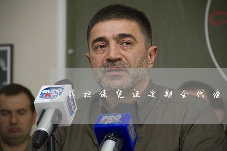 闪银担保凭证逾期会代偿吗 闪银担保凭证逾期会代偿吗