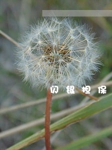 闪银担保凭证逾期几天没事