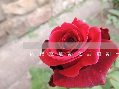 闪银拖延期之后逾期一天 闪银拖延期之后逾期一天