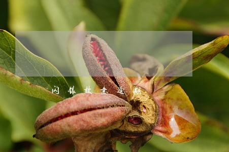 闪银故意逾期 闪银故意逾期
