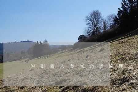闪银新人专属通道逾期上征信 闪银新人专属通道逾期上征信
