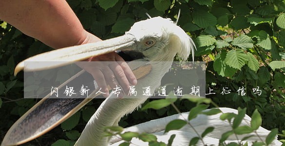 闪银新人专属通道逾期上征信吗