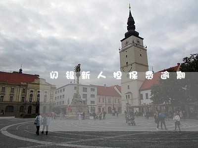 闪银新人担保费逾期 闪银新人担保费逾期