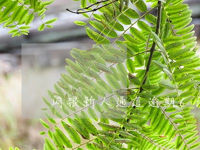 闪银新人通道逾期6天 闪银新人通道逾期6天