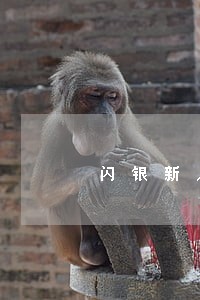 闪银新人逾期 闪银新人逾期