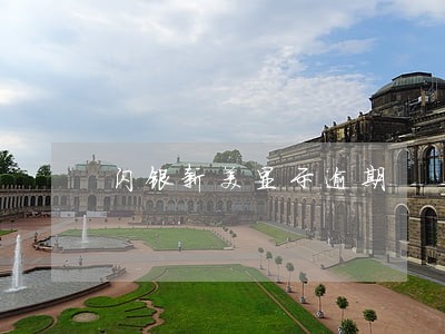 闪银新美显示逾期 闪银新美显示逾期
