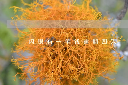 闪银有一笔钱逾期四天 闪银有一笔钱逾期四天
