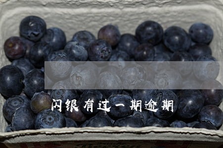 闪银有过一期逾期 闪银有过一期逾期