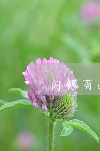 闪银有逾期再借失败 闪银有逾期再借失败