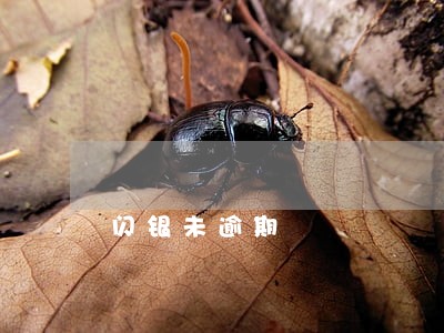 闪银未逾期 闪银未逾期