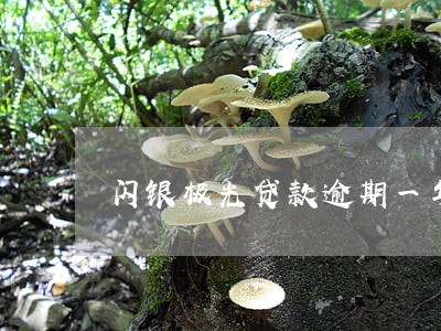 闪银极光贷款逾期一年 闪银极光贷款逾期一年