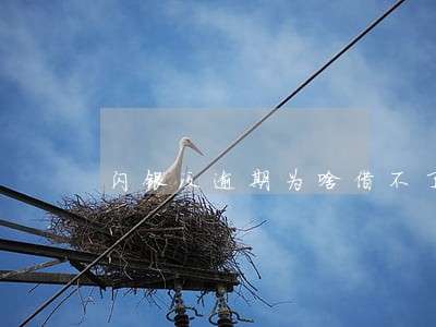 闪银没逾期为啥借不了 闪银没逾期为啥借不了