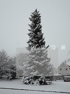 闪银没逾期借不了怎么办 闪银没逾期借不了怎么办