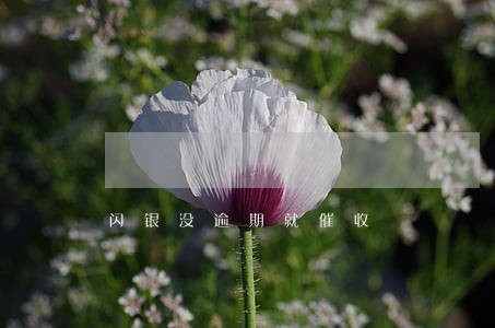 闪银没逾期就催收 闪银没逾期就催收