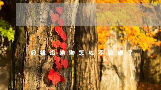 闪银没逾期怎么不给借了 闪银没逾期怎么不给借了