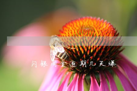 闪银淘金逾期几天爆 闪银淘金逾期几天爆