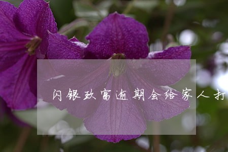 闪银玖富逾期会给家人打吗 闪银玖富逾期会给家人打吗