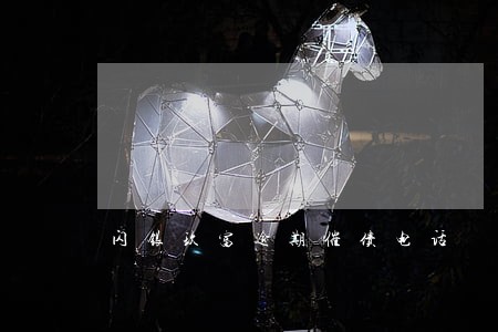 闪银玖富逾期催债电话 闪银玖富逾期催债电话
