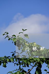 闪银现在没有逾期费了 闪银现在没有逾期费了
