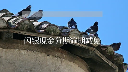 闪银现金分期逾期减免 闪银现金分期逾期减免