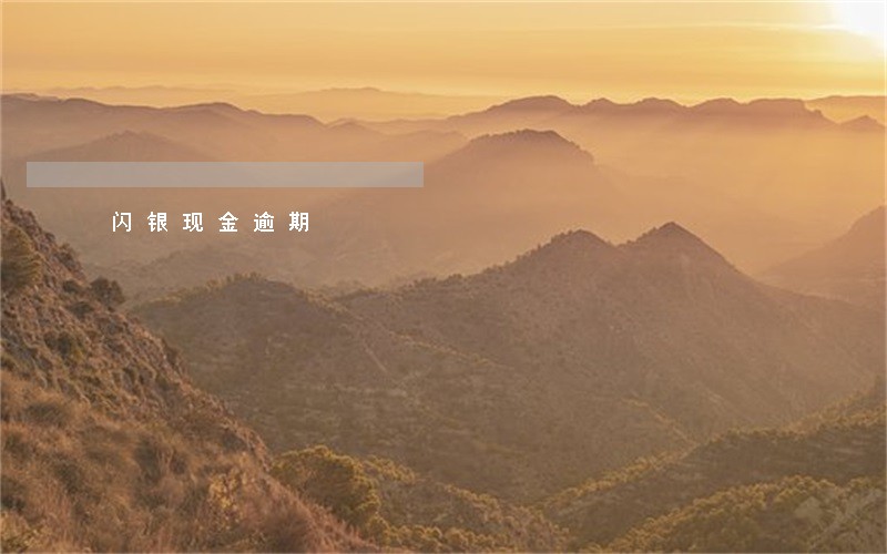 闪银现金逾期