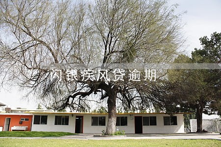 闪银疾风贷逾期 闪银疾风贷逾期