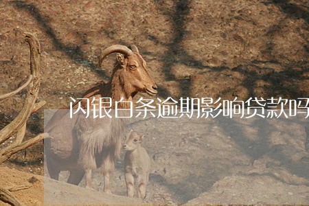闪银白条逾期影响贷款吗 闪银白条逾期影响贷款吗