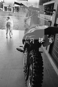 闪银百万钱包逾期8天了 闪银百万钱包逾期8天了