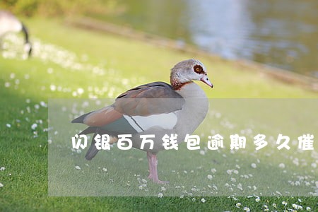 闪银百万钱包逾期多久催收