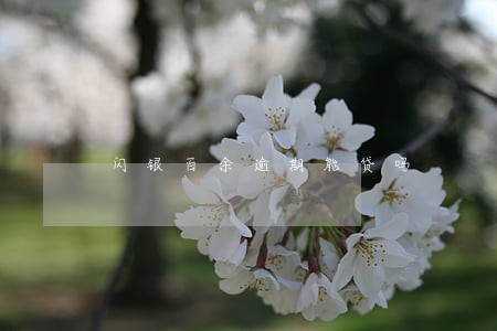 闪银百余逾期能贷吗 闪银百余逾期能贷吗