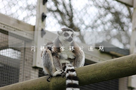 闪银百信银行逾期 闪银百信银行逾期