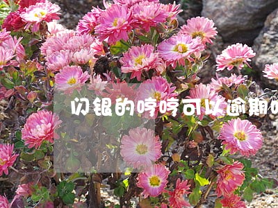闪银的哼哼可以逾期吗