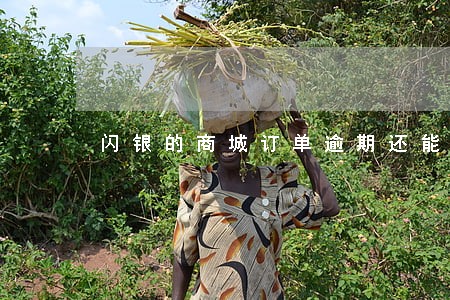 闪银的商城订单逾期还能再借吗