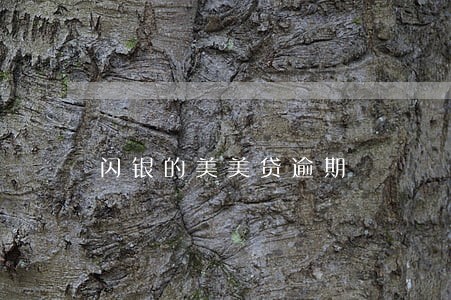 闪银的美美贷逾期 闪银的美美贷逾期