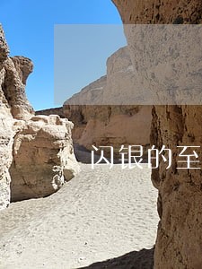 闪银的至尊担保逾期 闪银的至尊担保逾期
