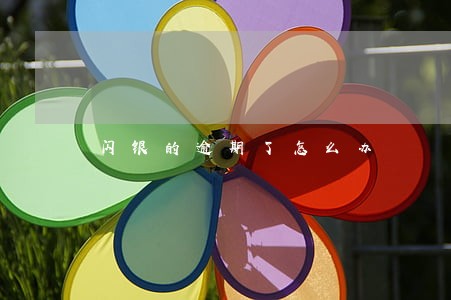 闪银的逾期了怎么办