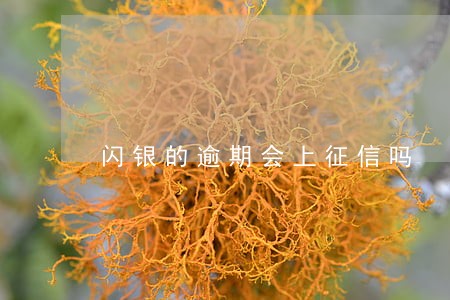 闪银的逾期会上征信吗 闪银的逾期会上征信吗