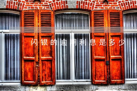 闪银的逾期利息是多少 闪银的逾期利息是多少