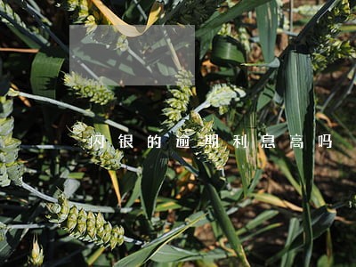 闪银的逾期利息高吗