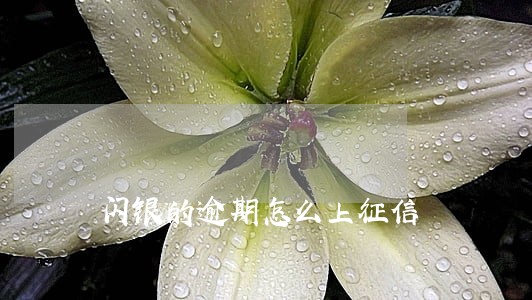 闪银的逾期怎么上征信 闪银的逾期怎么上征信