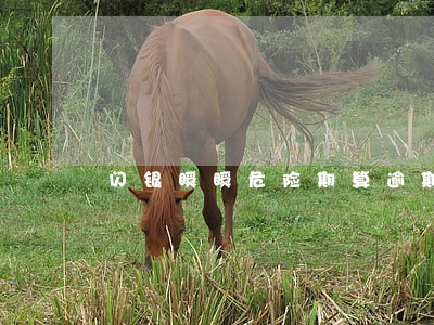 闪银瞬瞬危险期算逾期吗 闪银瞬瞬危险期算逾期吗