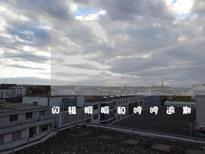 闪银瞬瞬和哼哼逾期 闪银瞬瞬和哼哼逾期