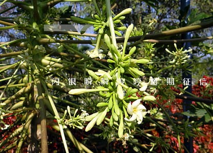 闪银瞬瞬哼哼逾期征信报告上没有 闪银瞬瞬哼哼逾期征信报告上没有