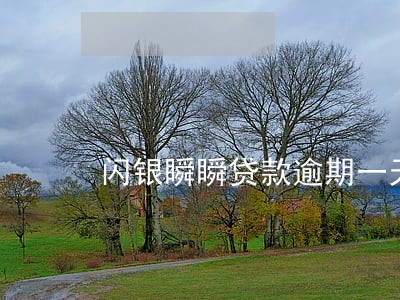 闪银瞬瞬贷款逾期一天会怎样
