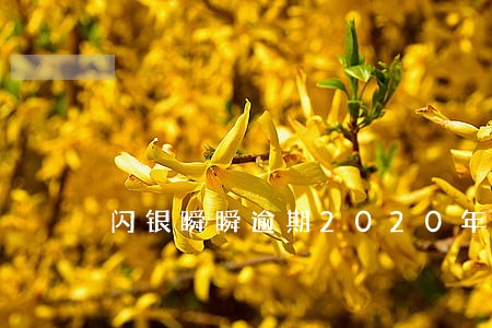 闪银瞬瞬逾期2020年 闪银瞬瞬逾期2020年