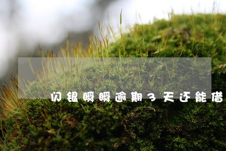 闪银瞬瞬逾期3天还能借吗 闪银瞬瞬逾期3天还能借吗