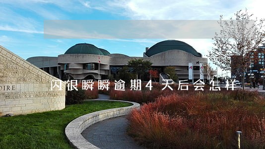 闪银瞬瞬逾期4天后会怎样 闪银瞬瞬逾期4天后会怎样